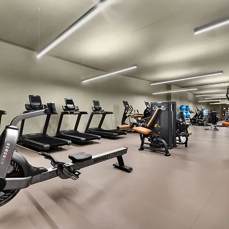 Отель Hilton Porto Gaia Вила-Нова-ди-Гая
