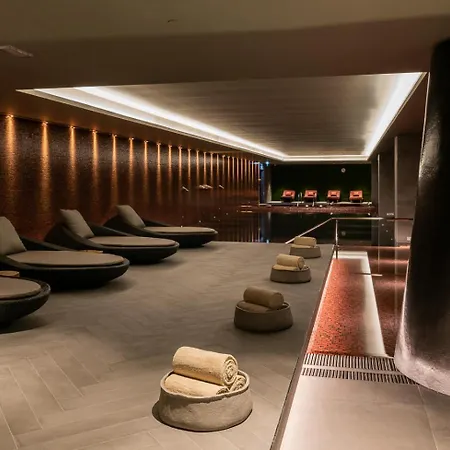 Hilton Porto Gaia 酒店 加亚新城