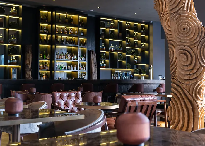 Hilton Porto Gaia 加亚新城